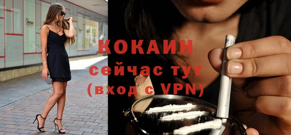 прущие грибы Абаза