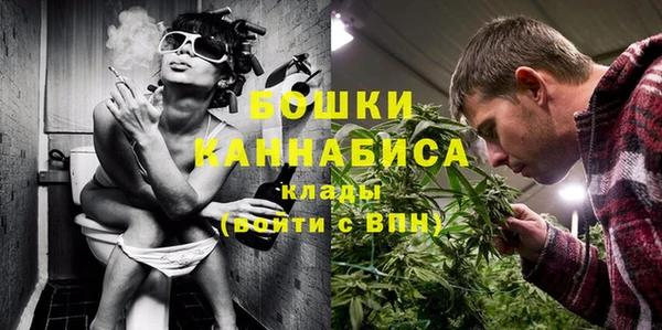 прущие грибы Абаза