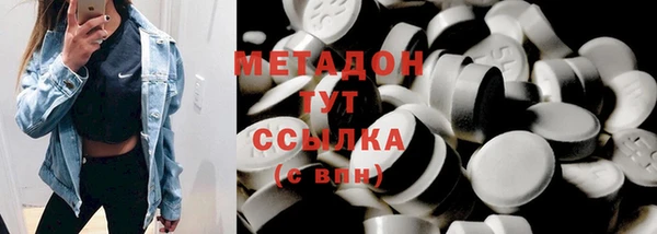 прущие грибы Абаза
