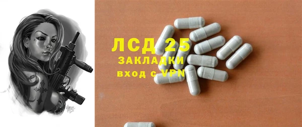 прущие грибы Абаза