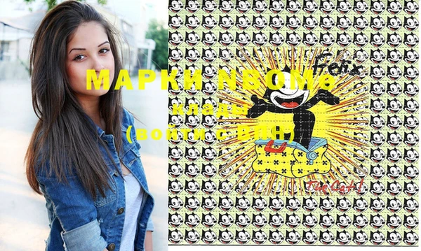 прущие грибы Абаза