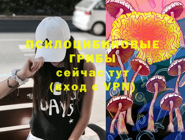 прущие грибы Абаза
