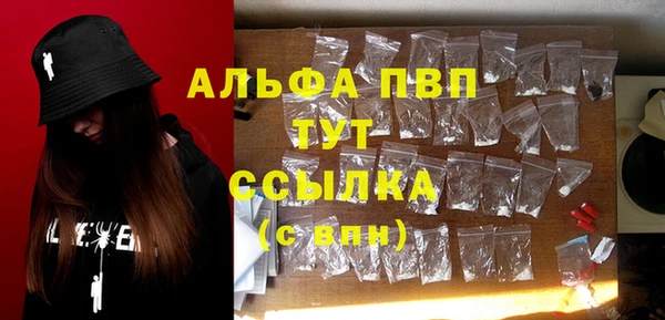 прущие грибы Абаза