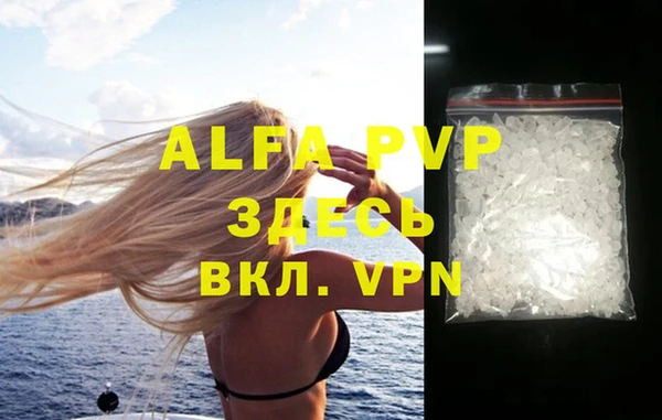 прущие грибы Абаза