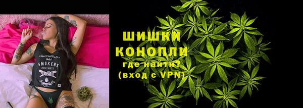 прущие грибы Абаза